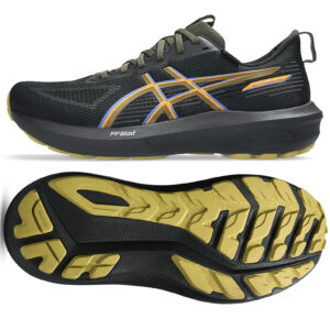 Buty Asics GT-1000 14 GTX 1011C078 001