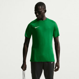 Koszulka Nike Park VIII HV8173-302