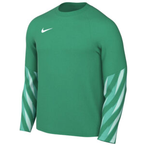 Koszulka Nike Park V Goalkeeper HV8314-324