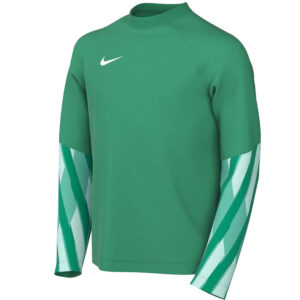 Koszulka Nike Park V Goalkeeper Jr HV8318-324