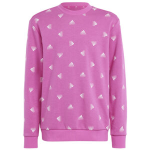 Bluza adidas  BLUV SWT girls IC5573