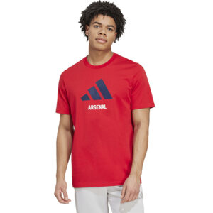 Koszulka adidas Arsenal Londyn FC 24/25 Session Graphic Tee JM9415
