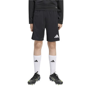 Spodenki adidas ENTRADA 26 Training Short Junior JZ9131